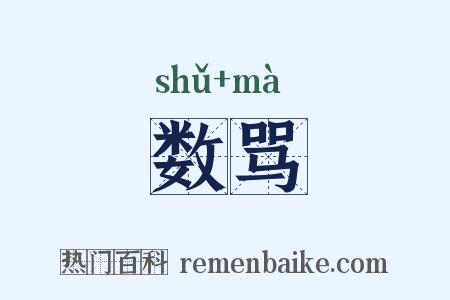 数骂是什么意思的图片